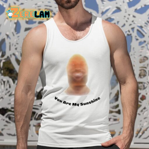 Lebron James You Are My Sunshine Shirt