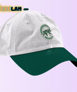 Michigan State University Hat Giveaway 2024