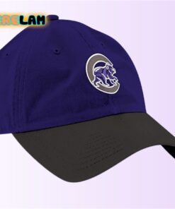 Northwestern University Hat Giveaway 2024
