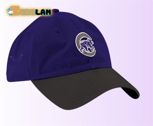 Northwestern University Hat Giveaway 2024