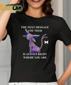 The Next Message You Need Is Always Right Where You Are Shirt 2 1