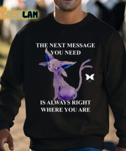 The Next Message You Need Is Always Right Where You Are Shirt 3 1