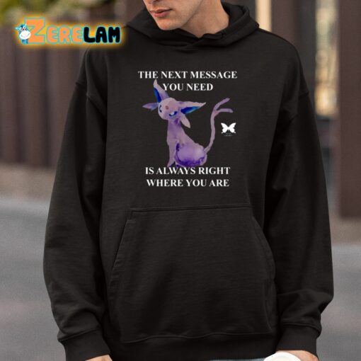 The Next Message You Need Is Always Right Where You Are Shirt