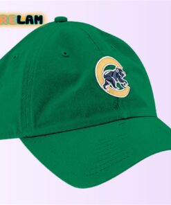 University of Notre Dame Hat Giveaway 2024