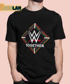 2024 Aapi Heritage Month Together Shirt