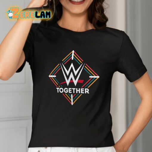 2024 Aapi Heritage Month Together Shirt