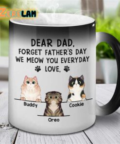 Dear Dad Forget Father’s Day I Meow You Everyday Mug Father Day