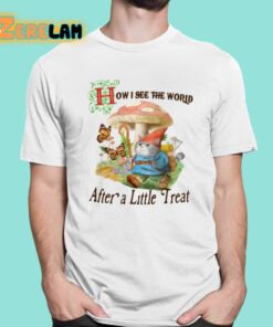 How I See The World After A Little Treat Shirt