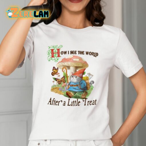 How I See The World After A Little Treat Shirt