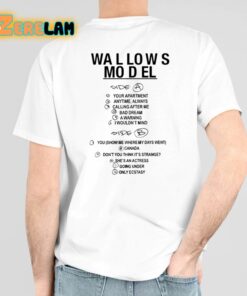 I Heard Model By Wallows On May 21 2024 Shirts 6 1