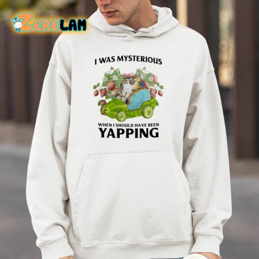 I Was Mysterious When I Should Have Been Yapping Shirt