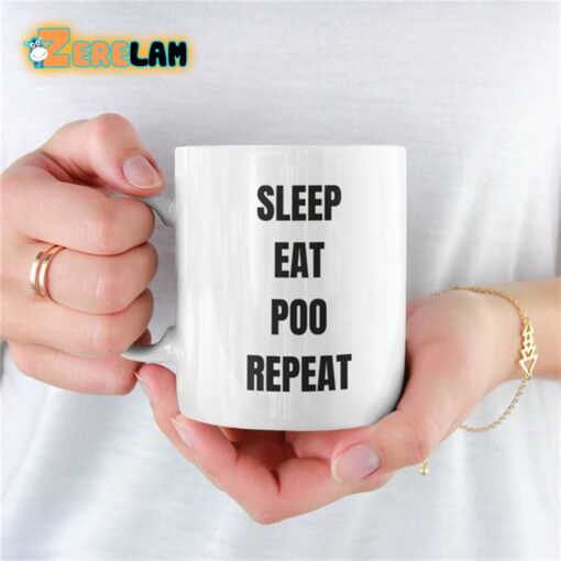 Sleep Eat Poo Repeat Mug Father Day