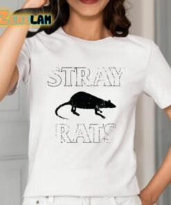 Stray Rats Fourteen Years Was The Grind Shirt 2 1