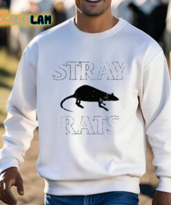 Stray Rats Fourteen Years Was The Grind Shirt 3 1