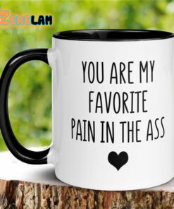 You Are My Favorite Pain In The Ass Mug Father Day