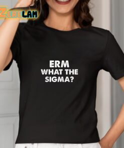 ERM What The Sigma Shirt 2 1