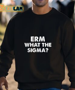 ERM What The Sigma Shirt 3 1