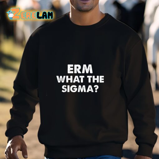 ERM What The Sigma Shirt