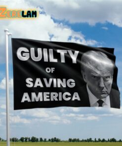 Guilty of Saving America Flag