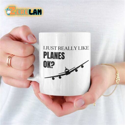 I Just Really Like Planes Ok Mug Father Day