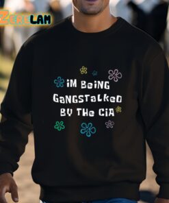 Im Being Gangstalked By The Cia Shirt 3 1