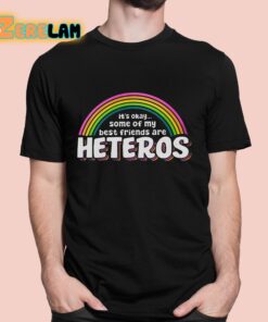 It’s Ok Some Of My Best Friends Are Heteros Shirt